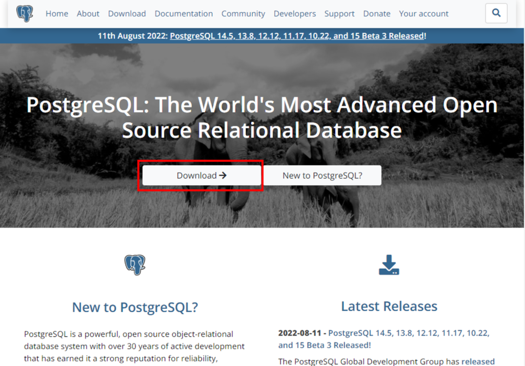 PosgtgreSQL公式ページ